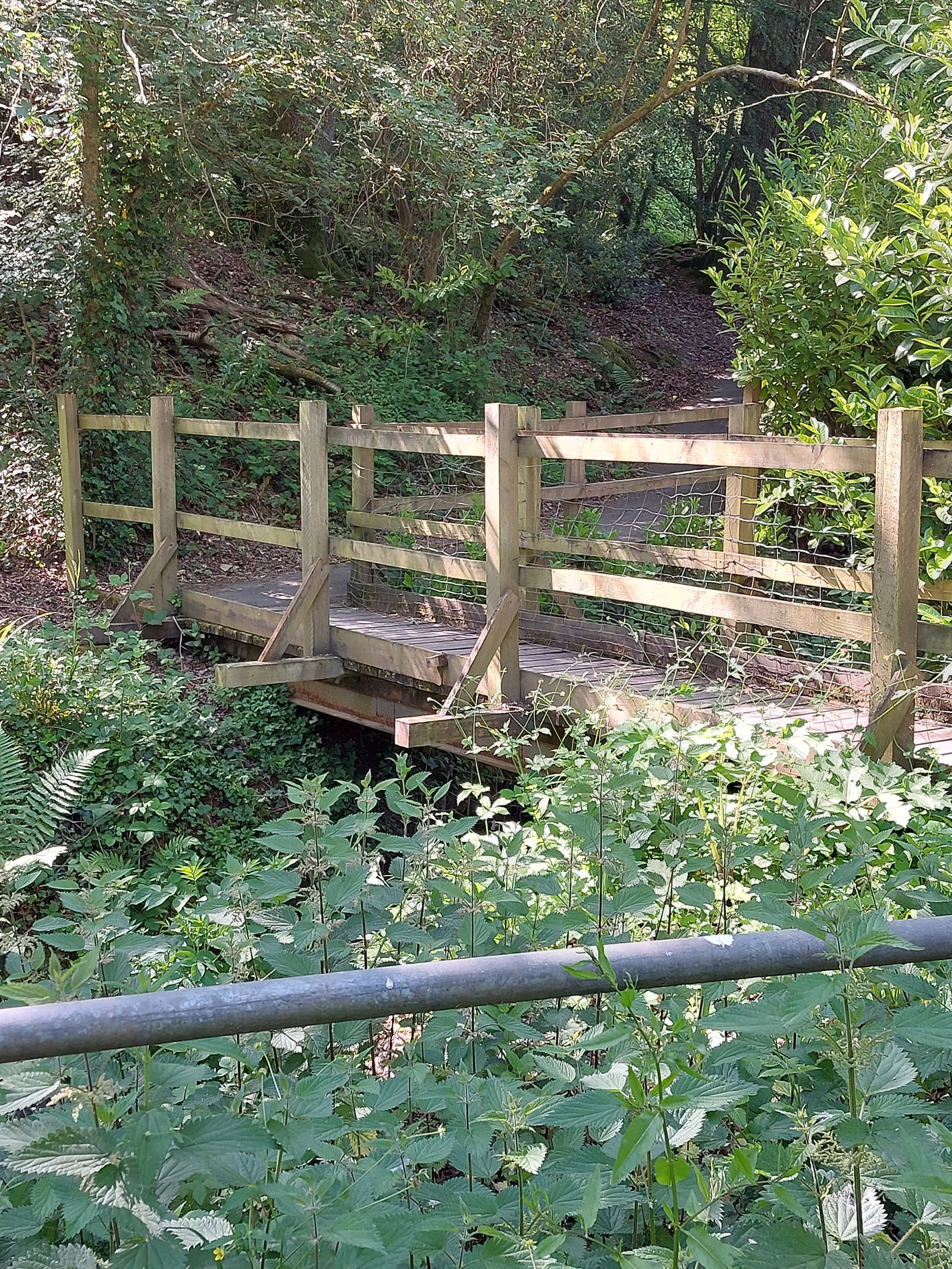 Steel-supported timber footbridges forming a public footpath extension in Fernhurst